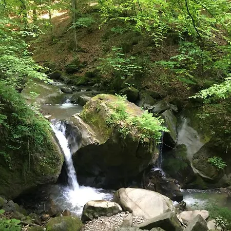 глемпінг Luxury Luxury tent Lypovets