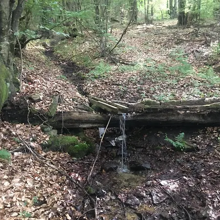 глемпінг Luxury