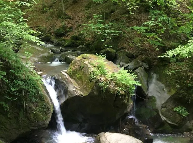 глемпінг Luxury Lüks kamp alanı Lypovets